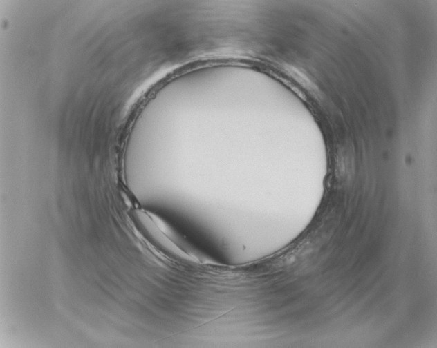 X0000061731356200512302135