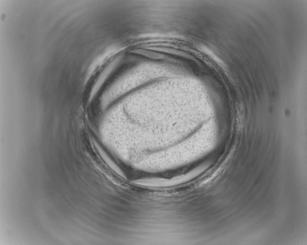 X0000061731357200512302135