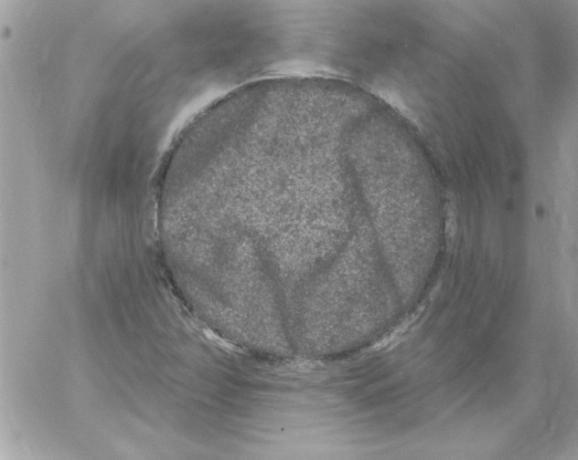 X0000061731358200512302135