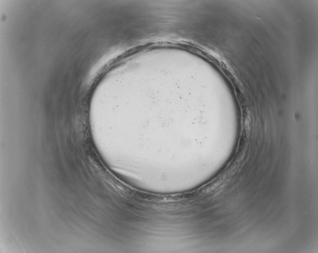 X0000061731359200512302135