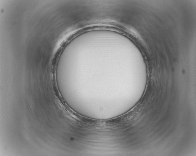 X0000061731360200512302135