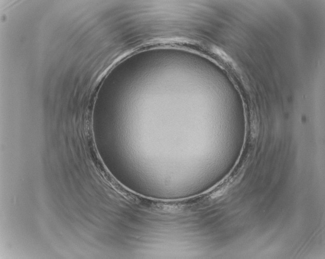 X0000061731361200512302135