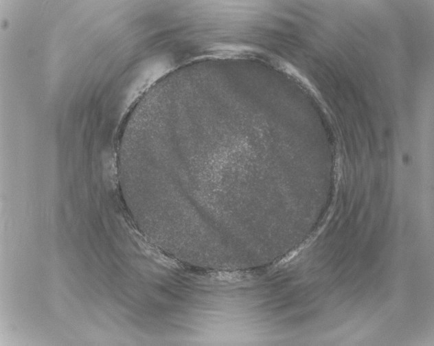 X0000061731362200512302135