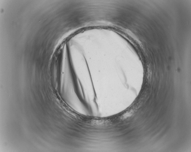 X0000061731364200512302135