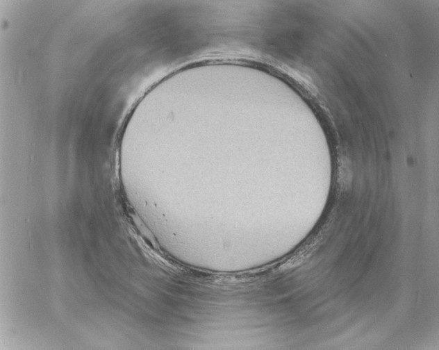 X0000061731366200512302135