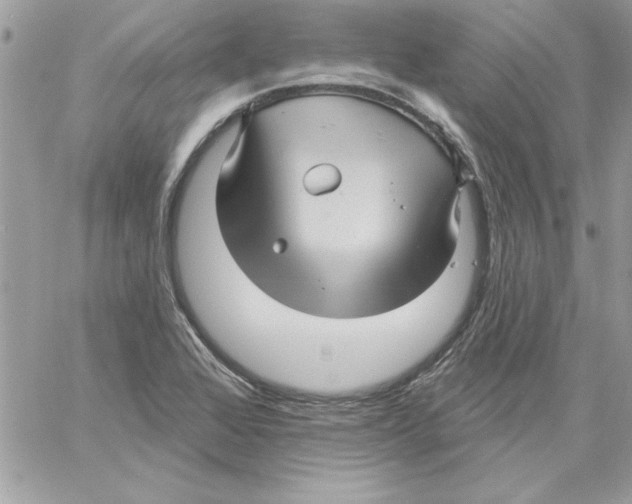 X0000061731368200512302135