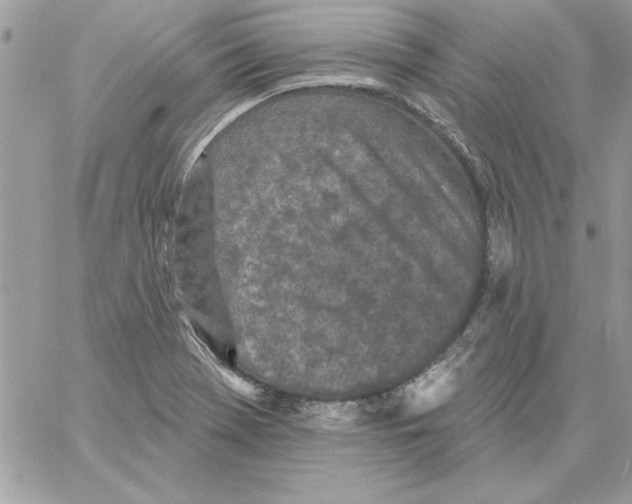 X0000061731369200512302135