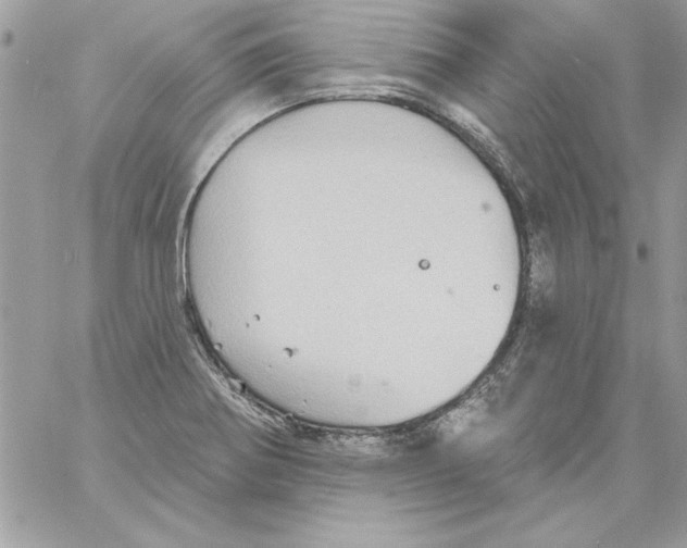 X0000061731370200512302135