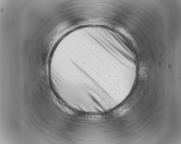 X0000061731372200512302135