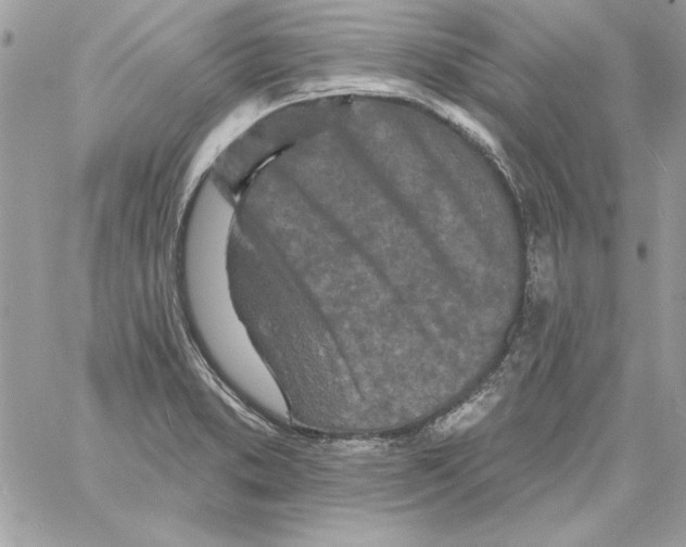 X0000061731373200512302135