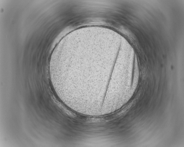 X0000061731374200512302134