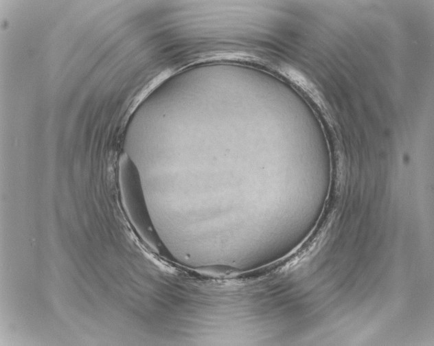 X0000061731377200512302134