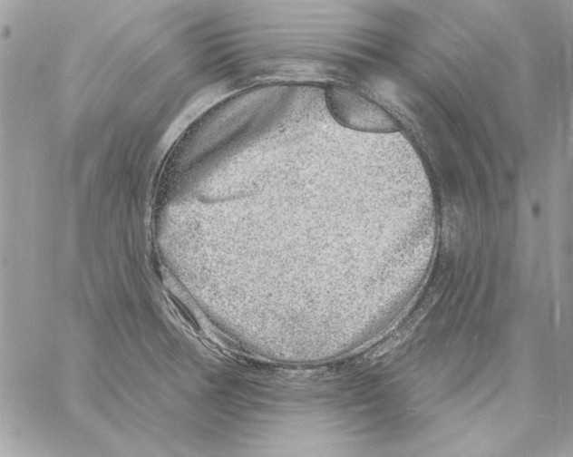 X0000061731378200512302134