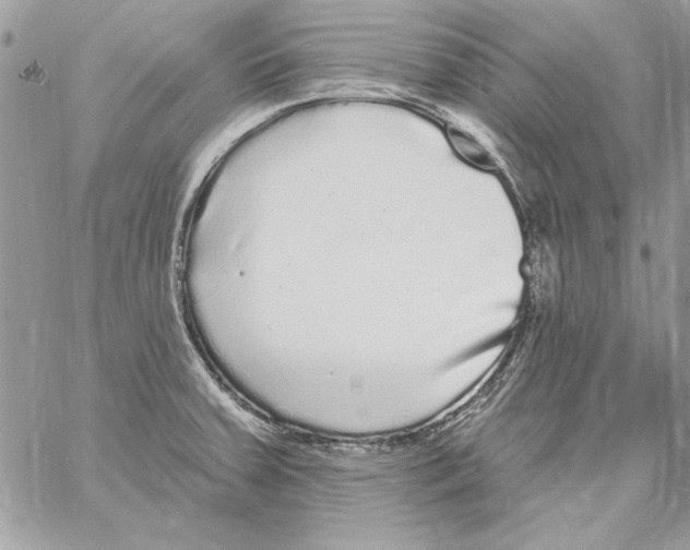 X0000061731379200512302134