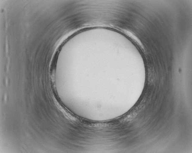 X0000061731380200512302134