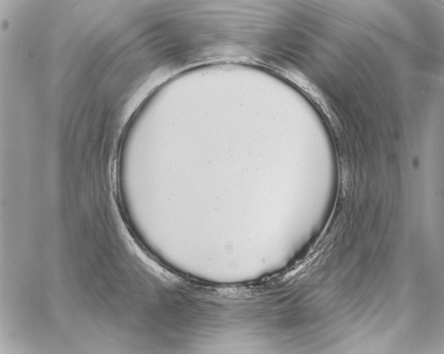 X0000061731383200512302134