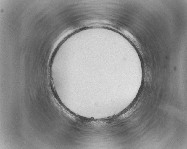 X0000061731384200512302134