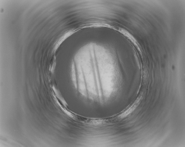 X0000061731385200512302134