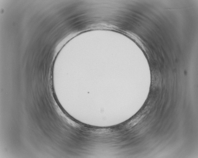 X0000061731387200512302134