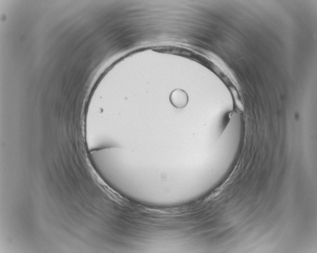 X0000061731388200512302134