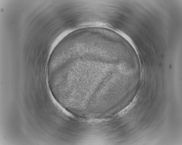 X0000061731389200512302134