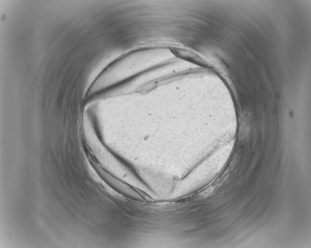 X0000061731390200512302134