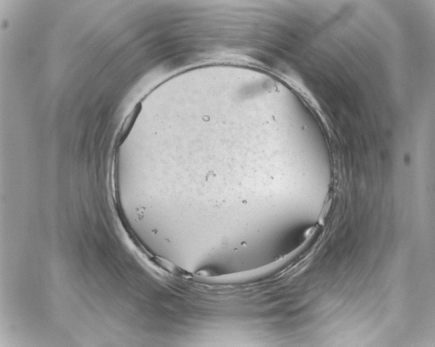 X0000061731391200512302134