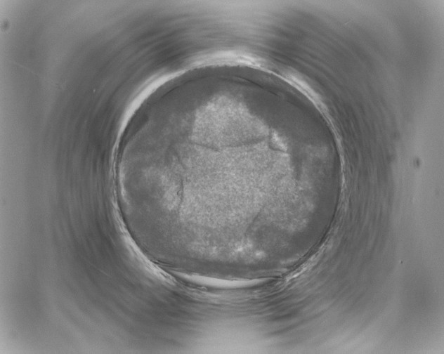 X0000061731392200512302134