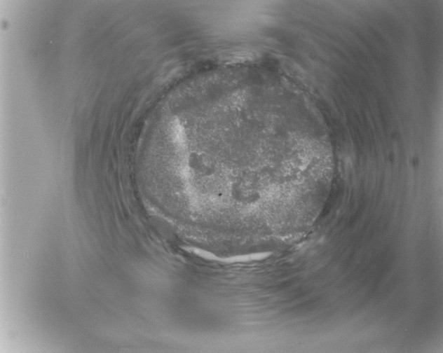 X0000061731393200512302133