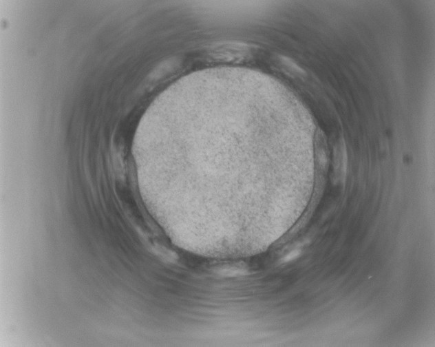 X0000061731394200512302133