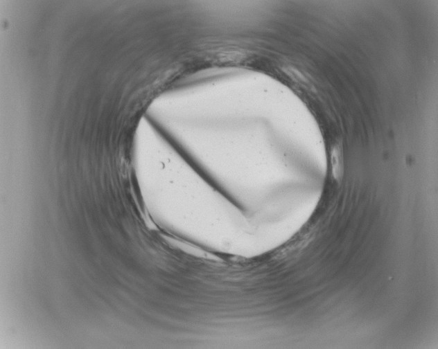 X0000061731395200512302133