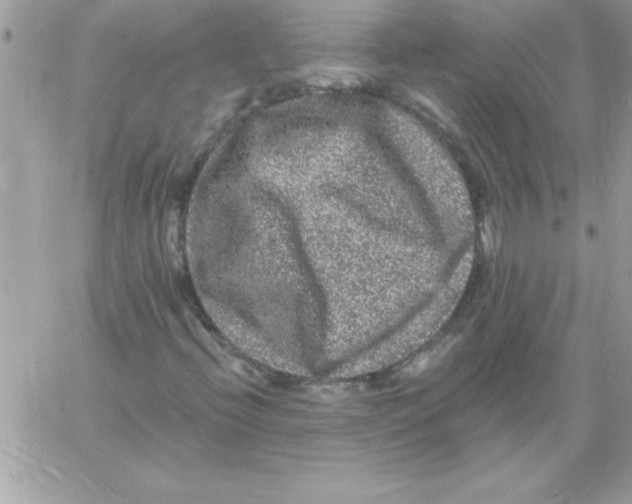 X0000061731396200512302133