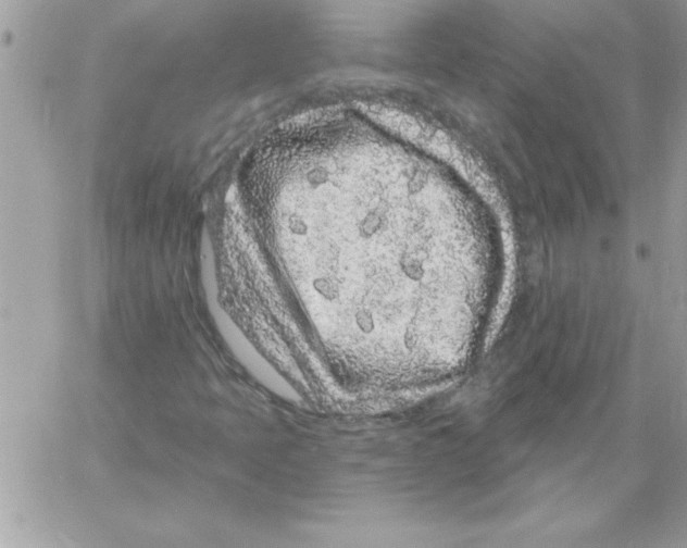 X0000061731397200512302133