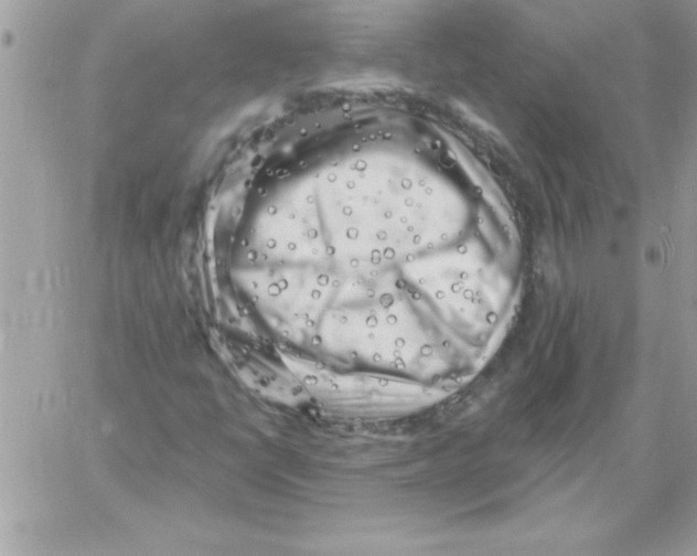 X0000061731398200512302133