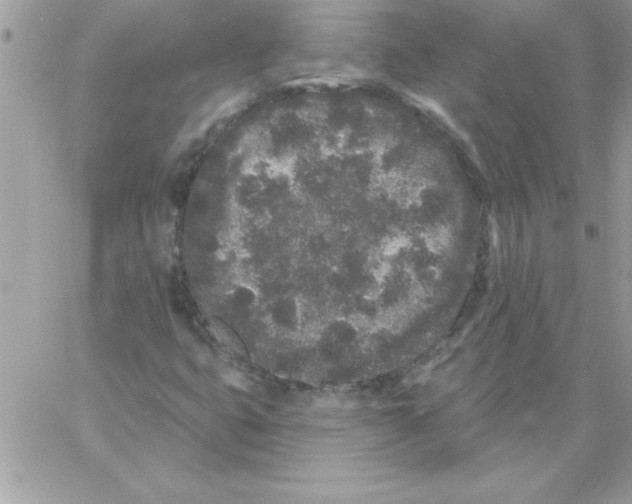 X0000061731399200512302134