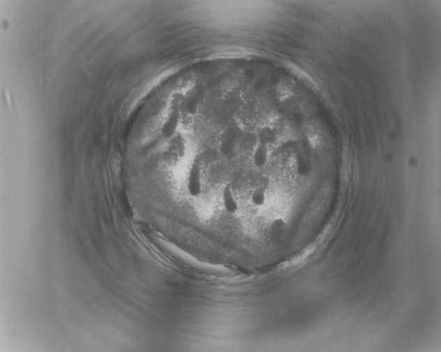 X0000061731401200512302134