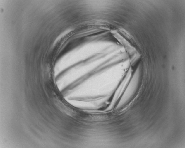 X0000061731402200512302134