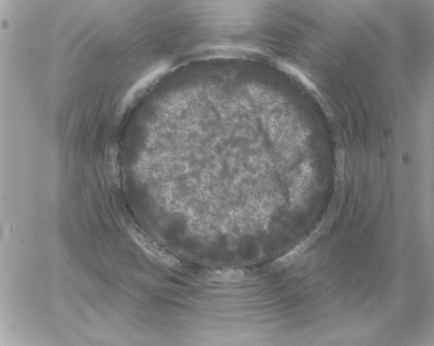 X0000061731403200512302134