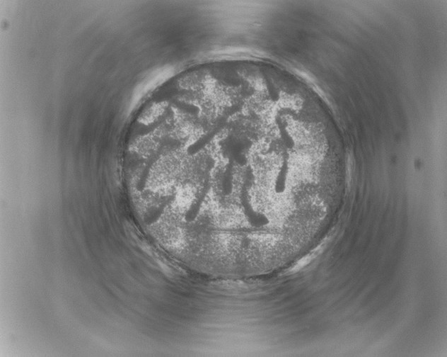 X0000061731405200512302134