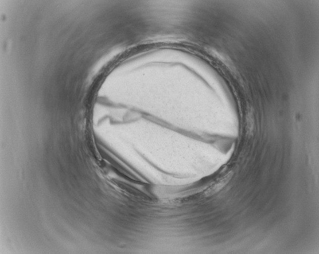 X0000061731406200512302134