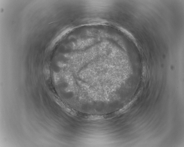 X0000061731407200512302134