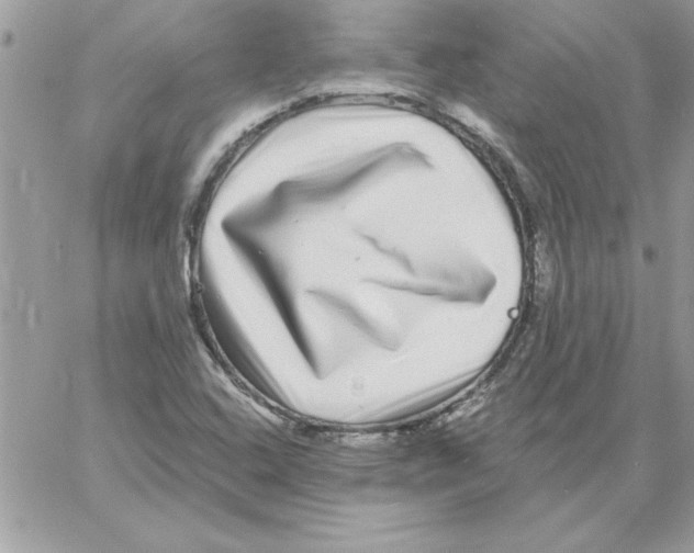 X0000061731408200512302134