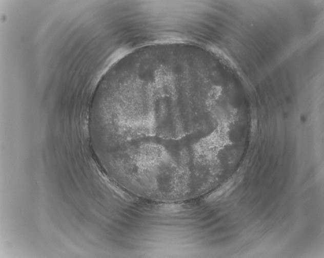 X0000061731409200512302134