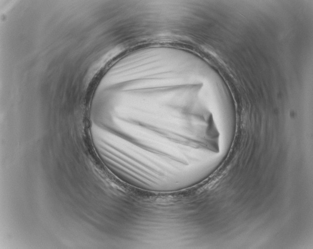 X0000061731410200512302134