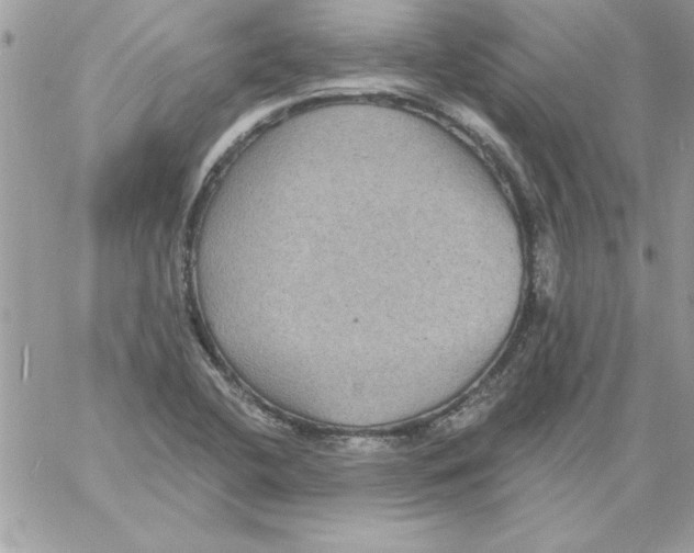 X0000061731412200512302134