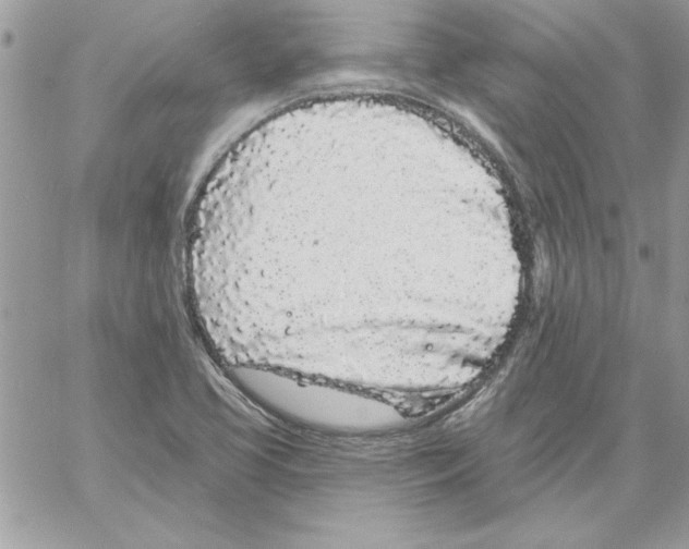 X0000061731413200512302134