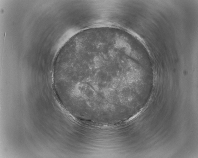 X0000061731415200512302134