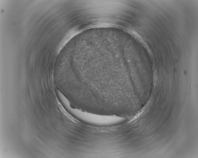 X0000061731417200512302134