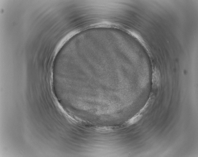 X0000061731418200512302134