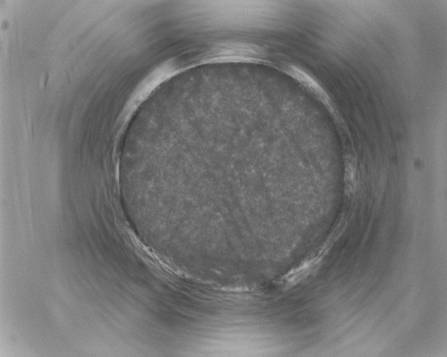 X0000061731419200512302134